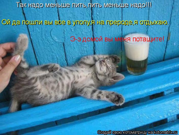Котоматрица: Так надо меньше пить,пить меньше надо!!! Ой да пошли вы все в упопу,я на прероде,я отдыхаю. Э-э домой вы меня потащите!