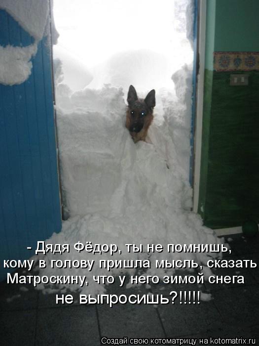 Котоматрица: - Дядя Фёдор, ты не помнишь, кому в голову пришла мысль, сказать Матроскину, что у него зимой снега  не выпросишь?!!!!!