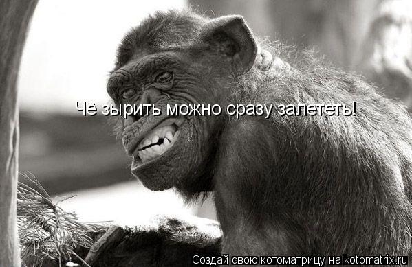 Чё зырить можно сразу залететь!... Котоматрица: Чё зырить можно сразу залететь!