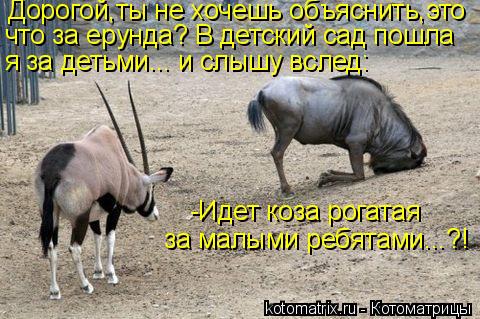 я за детьми... и слышу вслед: что за ерунда? В детский сад пошла Дорогой,ты не хочешь объяснить,это -... Котоматрица: я за детьми... и слышу вслед: что за ерунда? В детский сад пошла Дорогой,ты не хочешь объяснить,это -Идет коза рогатая за малыми ребятами...?!