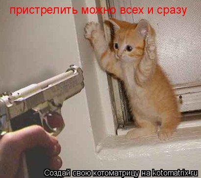 пристрелить можно всех и сразу... Котоматрица: пристрелить можно всех и сразу