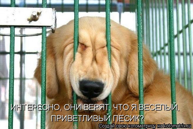 Котоматрица: ИНТЕРЕСНО, ОНИ ВЕРЯТ, ЧТО Я ВЕСЕЛЫЙ, ПРИВЕТЛИВЫЙ ПЕСИК?