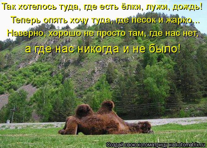Так хотелось туда, где есть ёлки, лужи, дождь! Теперь опять хочу туда, где песок и жарко... Наверно,... Котоматрица: Так хотелось туда, где есть ёлки, лужи, дождь! Теперь опять хочу туда, где песок и жарко... Наверно, хорошо не просто там, где нас нет, а где нас