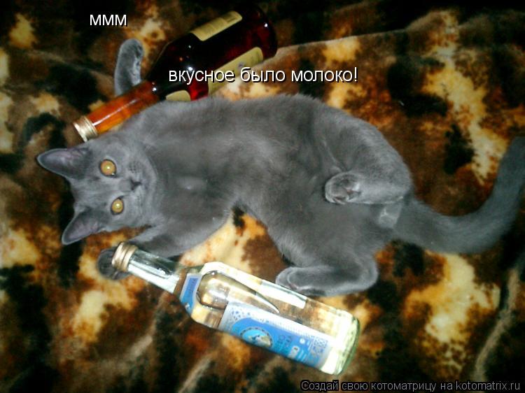 Котоматрица: ммм вкусное было молоко!