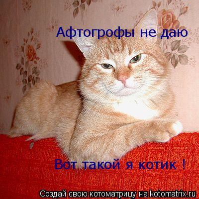 Котоматрица: Афтогрофы не даю                  Вот такой я котик !