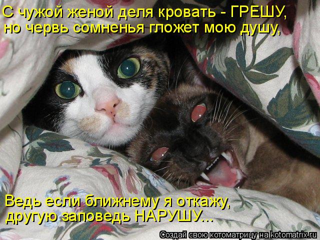 С чужой женой деля кровать - ГРЕШУ, но червь сомненья гложет мою душу, Ведь если ближнему я откажу, д... Котоматрица: С чужой женой деля кровать - ГРЕШУ, но червь сомненья гложет мою душу, Ведь если ближнему я откажу, другую заповедь НАРУШУ...
