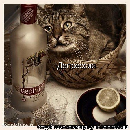 Котоматрица: Депрессия...