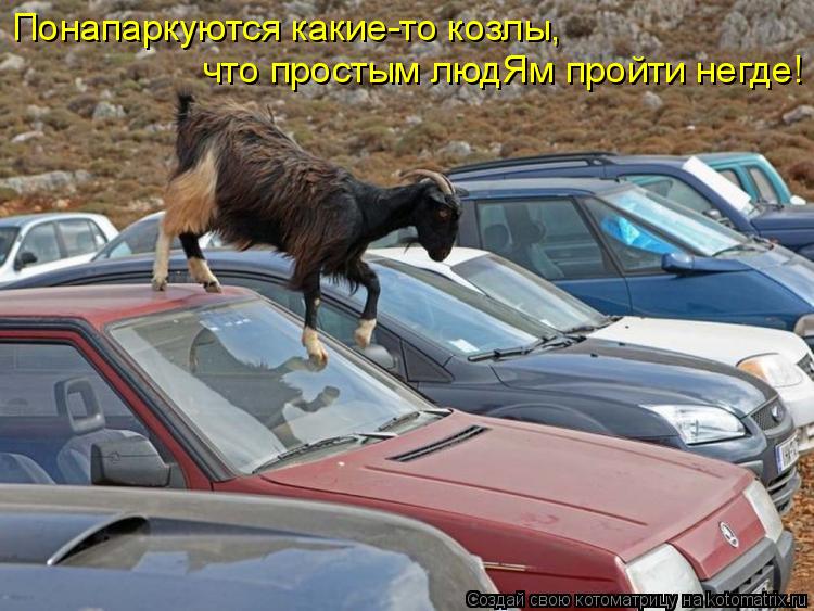 Понапаркуются какие-то козлы, что простым людЯм пройти негде!... Котоматрица: Понапаркуются какие-то козлы, что простым людЯм пройти негде!