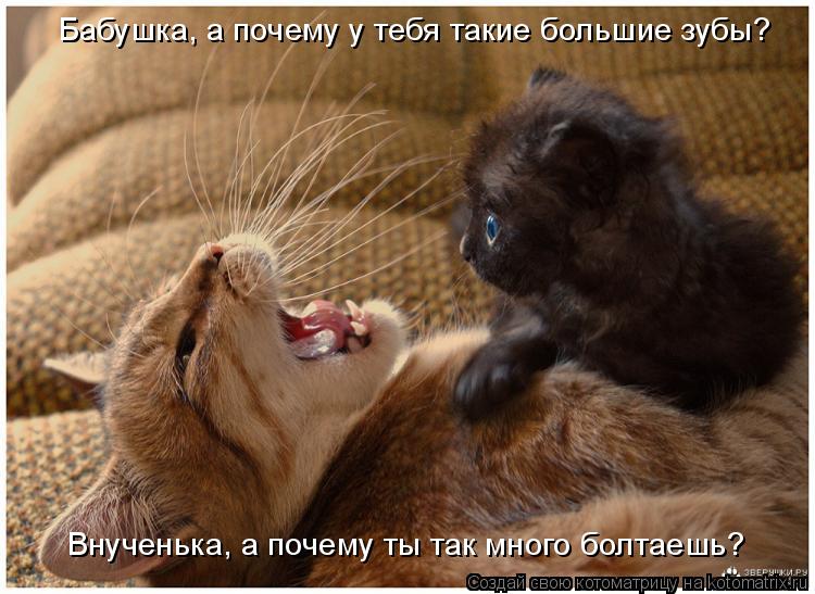 Котоматрица: Бабушка, а почему у тебя такие большие зубы? Внученька, а почему ты так много болтаешь?