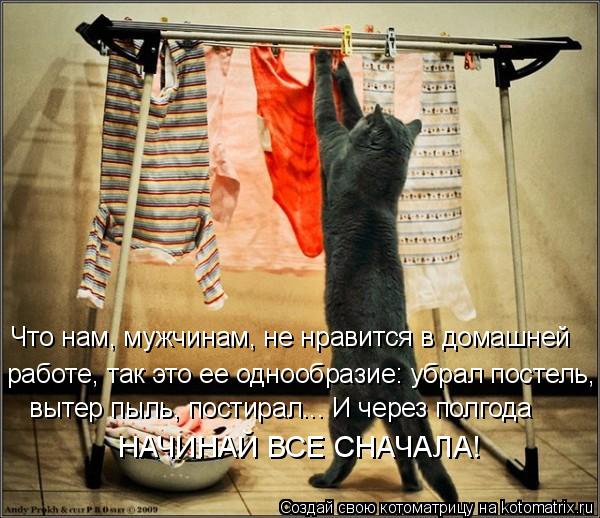 Что нам, мужчинам, не нравится в домашней работе, так это ее однообразие: убрал постель, вытер пыль... Котоматрица: Что нам, мужчинам, не нравится в домашней работе, так это ее однообразие: убрал постель, вытер пыль, постирал... И через полгода НАЧИНАЙ ВСЕ