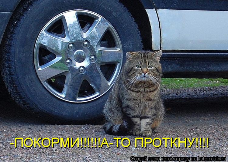 Котоматрица: -ПОКОРМИ!!!!!!А-ТО ПРОТКНУ!!!!