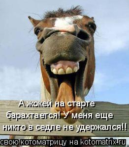 Жокей?! Да вон, в пыли на старте барахтается! У меня еще никто в седле не удерживался! А жокей на ст... Котоматрица: Жокей?! Да вон, в пыли на старте барахтается! У меня еще никто в седле не удерживался! А жокей на старте барахтается! У меня еще никто в седле