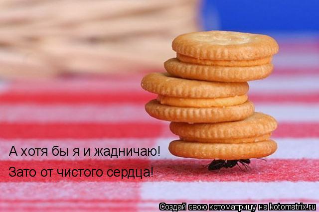 Котоматрица: А хотя бы я и жадничаю! Зато от чистого сердца!