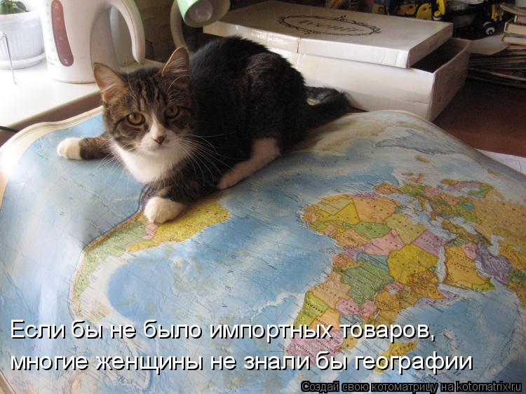 Котоматрица: Если бы не было импортных товаров,  многие женщины не знали бы географии