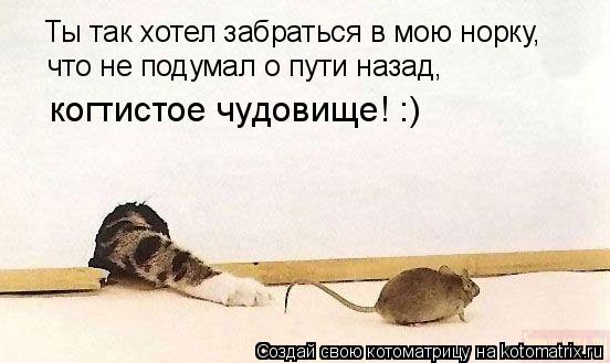 Котоматрица: Ты так хотел забраться в мою норку, что не подумал о пути назад,  когтистое чудовище! :)