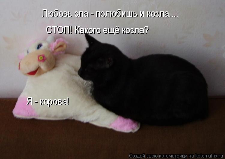 Котоматрица: Любовь зла - полюбишь и козла.... СТОП! Какого ещё козла? Я - корова!