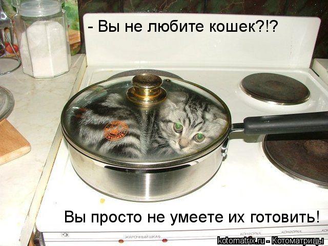 Котоматрица: - Вы не любите кошек?!? Вы просто не умеете их готовить!