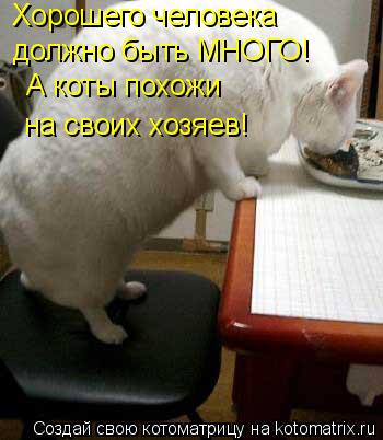 Котоматрица: Хорошего человека должно быть МНОГО! А коты похожи на своих хозяев!