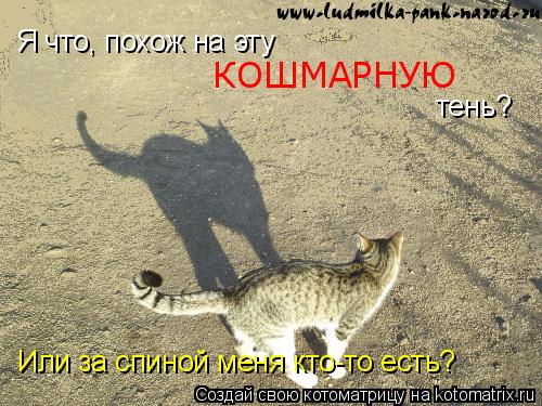 Котоматрица: Я что, похож на эту  КОШМАРНУЮ  тень? Или за спиной меня кто-то есть?