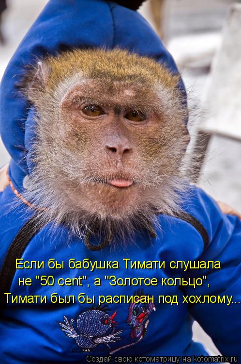 Котоматрица: Если бы бабушка Тимати слушала  не "50 cent", а "Золотое кольцо", Тимати был бы расписан под хохлому...