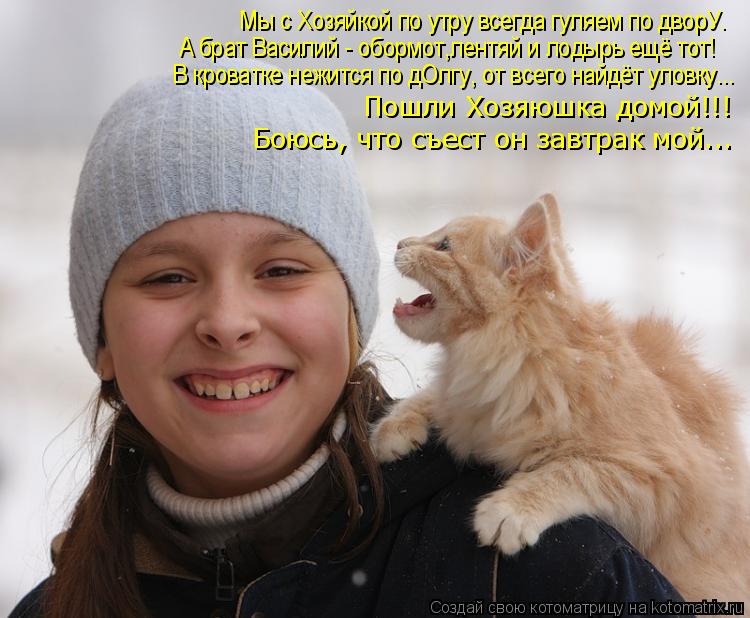 Мы с Хозяйкой по утру всегда гуляем по дворУ. А брат Василий - обормот,лентяй и лодырь ещё тот! В кро... Котоматрица: Мы с Хозяйкой по утру всегда гуляем по дворУ. А брат Василий - обормот,лентяй и лодырь ещё тот! В кроватке нежится по дОлгу, от всего найдёт ул