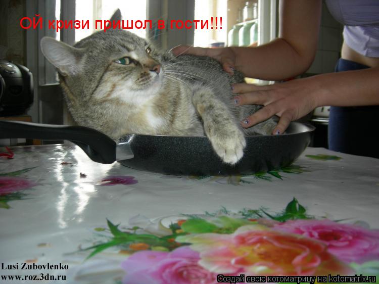 Котоматрица: ОЙ кризи пришол в гости!!!