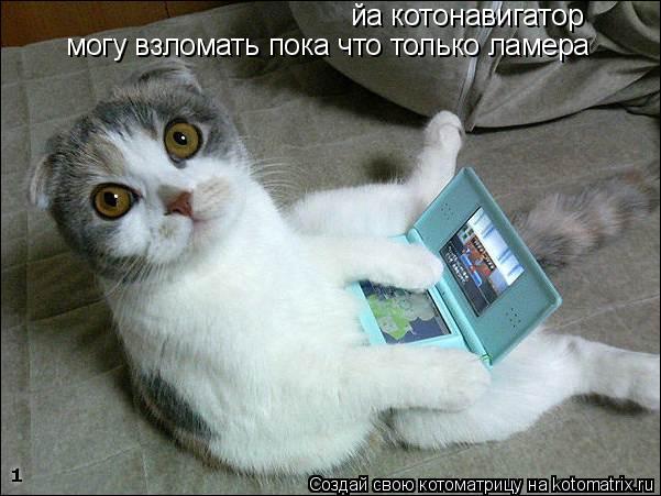 йа котонавигатор могу взломать пока что только ламера... Котоматрица: йа котонавигатор могу взломать пока что только ламера