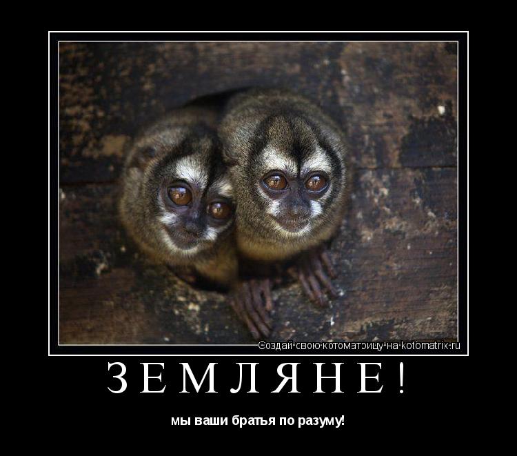 Котоматрица: Земляне! мы ваши братья по разуму!
