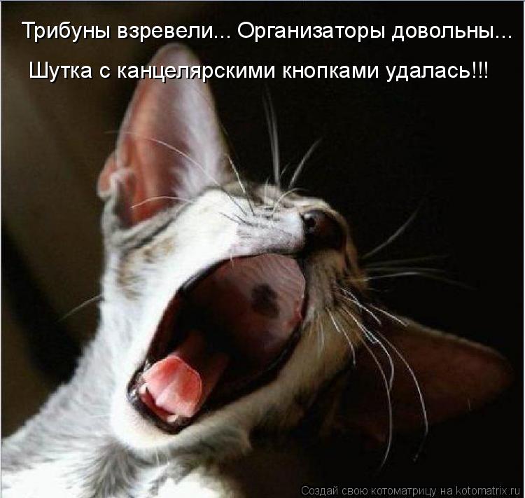 Трибуны взревели... Организаторы довольны... Шутка с канцелярскими кнопками удалась!!!... Котоматрица: Трибуны взревели... Организаторы довольны... Шутка с канцелярскими кнопками удалась!!!