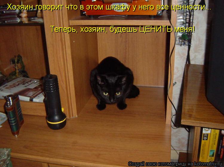 Котоматрица: Хозяин говорит что в этом шкафу у него все ценности... Теперь, хозяин, будешь ЦЕНИТЬ меня!