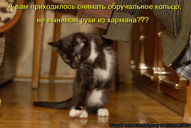 Котоматрица: А вам приходилось снимать обручальное кольцо, не вынимая руки из кармана???