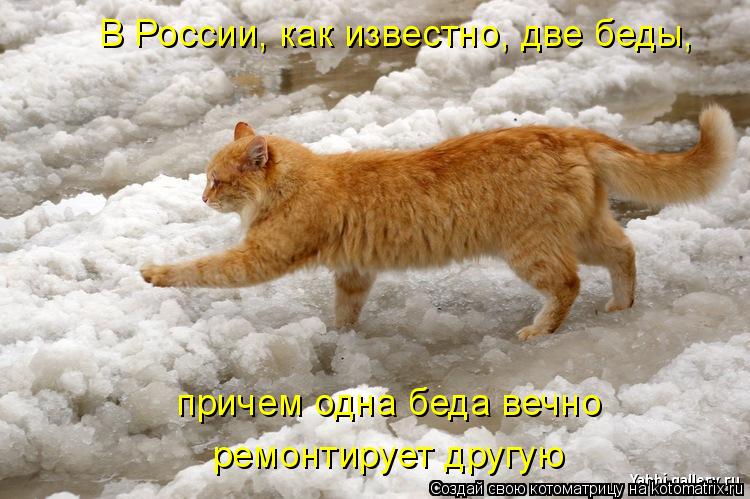 В России, как известно, две беды, причем одна беда вечно ремонтирует другую... Котоматрица: В России, как известно, две беды, причем одна беда вечно ремонтирует другую