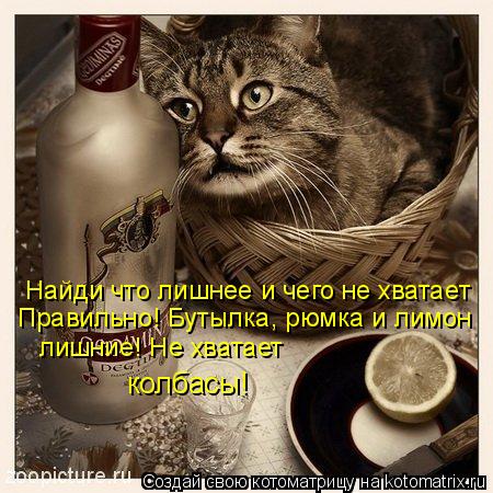 Найди что лишнее и чего не хватает Правильно! Бутылка, рюмка и лимон лишние! Не хватает колбасы!... Котоматрица: Найди что лишнее и чего не хватает Правильно! Бутылка, рюмка и лимон лишние! Не хватает колбасы!