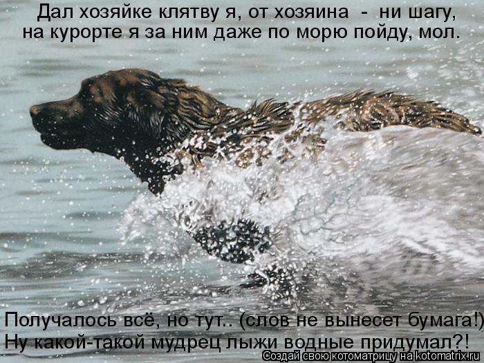 Котоматрица: Дал хозяйке клятву я, от хозяина  -  ни шагу, на курорте я за ним даже по морю пойду, мол. Ну какой-такой мудрец лыжи водные придумал?! Получалос