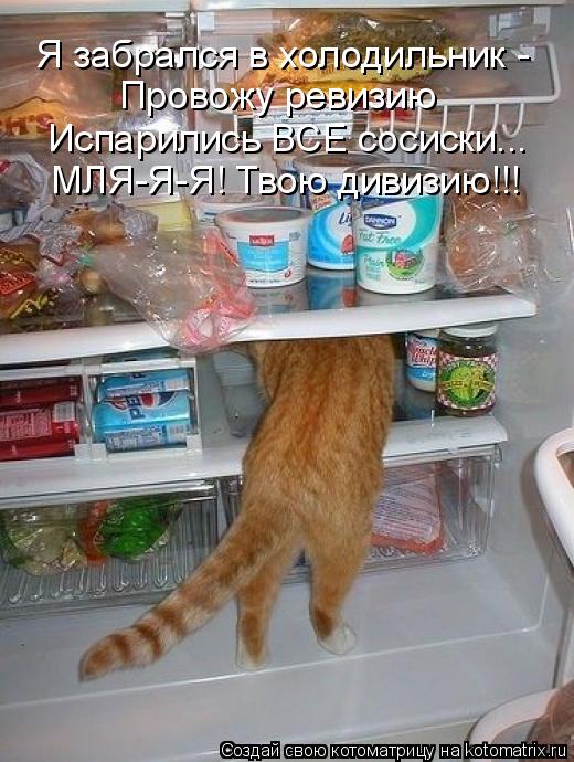 Котоматрица: Я забрался в холодильник - Провожу ревизию Испарились ВСЕ сосиски... МЛЯ-Я-Я! Твою дивизию!!!