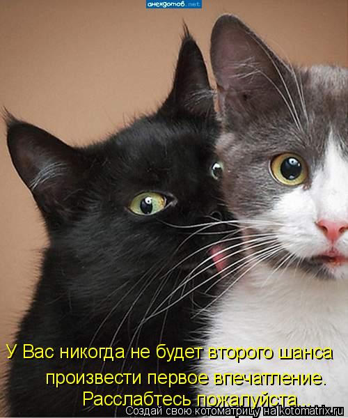 У Вас никогда не будет второго шанса произвести первое впечатление. Расслабтесь пожалуйста...... Котоматрица: У Вас никогда не будет второго шанса произвести первое впечатление. Расслабтесь пожалуйста...