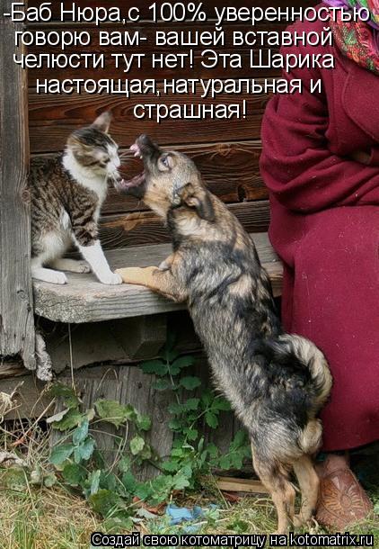 -Баб Нюра,с 100% уверенностью говорю вам- вашей вставной челюсти тут нет! Эта Шарика настоящая,натур... Котоматрица: -Баб Нюра,с 100% уверенностью говорю вам- вашей вставной челюсти тут нет! Эта Шарика настоящая,натуральная и страшная!