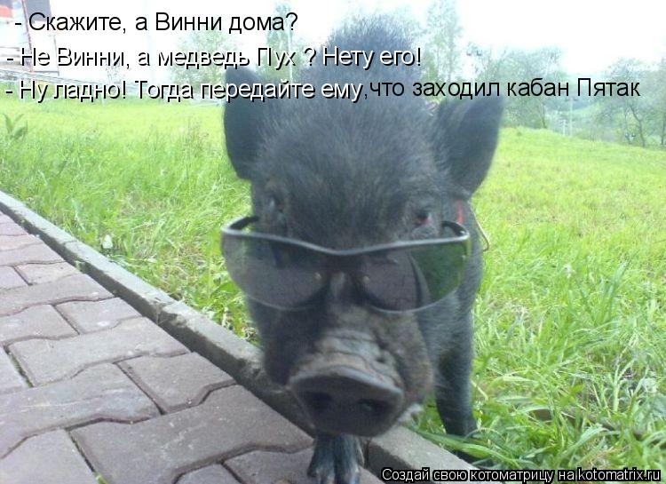 Котоматрица: - Скажите, а Винни дома? - Не Винни, а медведь Пух ? Нету его! - Ну ладно! Тогда передайте ему  ,что заходил кабан Пятак