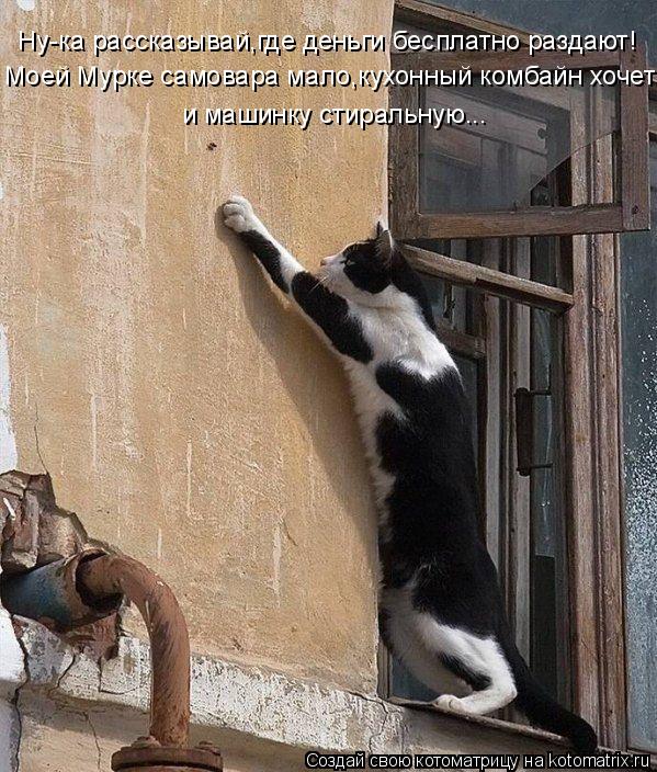 Ну-ка рассказывай,где деньги бесплатно раздают! Моей Мурке самовара мало,кухонный комбайн хочет и маш... Котоматрица: Ну-ка рассказывай,где деньги бесплатно раздают! Моей Мурке самовара мало,кухонный комбайн хочет и машинку стиральную...