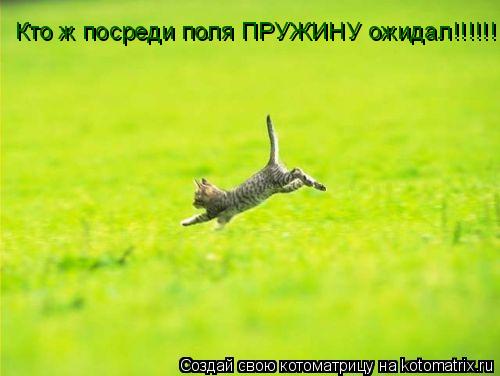 Кто ж посреди поля ПРУЖИНУ ожидал!!!!!!... Котоматрица: Кто ж посреди поля ПРУЖИНУ ожидал!!!!!!