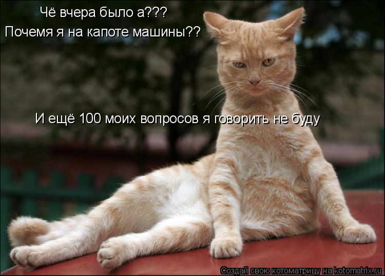 Чё вчера было а??? Почемя я на капоте машины?? И ещё 100 моих вопросов я говорить не буду... Котоматрица: Чё вчера было а??? Почемя я на капоте машины?? И ещё 100 моих вопросов я говорить не буду