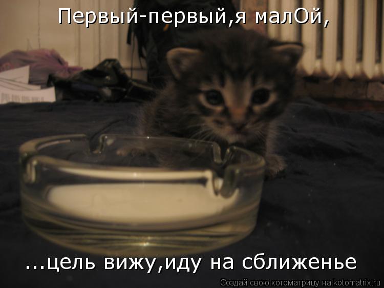 Котоматрица: Первый-первый,я малОй, ...цель вижу,иду на сближенье