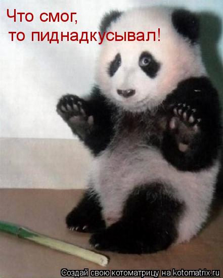 Котоматрица: Что смог,  то пиднадкусывал!