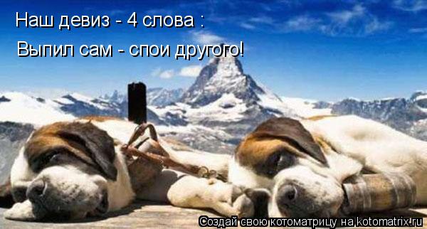 Котоматрица: Наш девиз - 4 слова :  Выпил сам - спои другого!