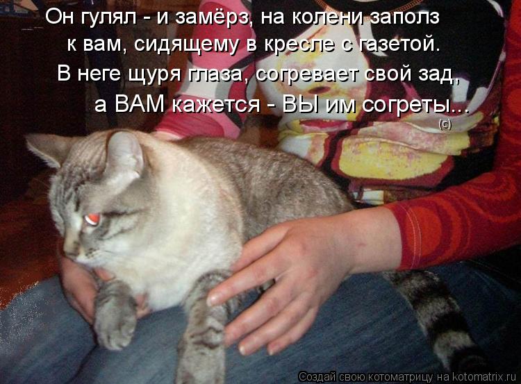 Он гулял - и замёрз, на колени заполз к вам, сидящему в кресле с газетой. В неге щуря глаза, согревае... Котоматрица: Он гулял - и замёрз, на колени заполз к вам, сидящему в кресле с газетой. В неге щуря глаза, согревает свой зад, а ВАМ кажется - ВЫ им согреты... (