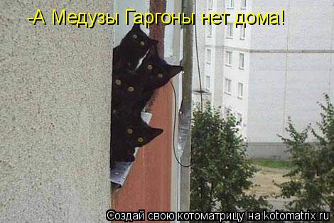 -А Медузы Гаргоны нет дома!... Котоматрица: -А Медузы Гаргоны нет дома!