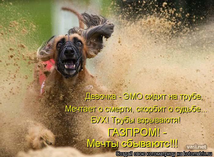 Котоматрица: Девочка - ЭМО сидит на трубе, Мечтает о смерти, скорбит о судьбе... БУХ! Трубы взрываютя! ГАЗПРОМ! -  Мечты сбываютс!!!