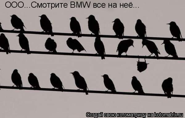 Котоматрица: ООО...Смотрите BMW все на неё...