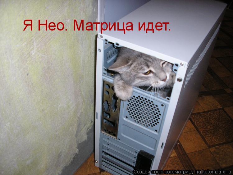 Котоматрица: Я Нео. Матрица идет.