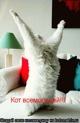 Кот всемогущий!!!... Котоматрица: Кот всемогущий!!!